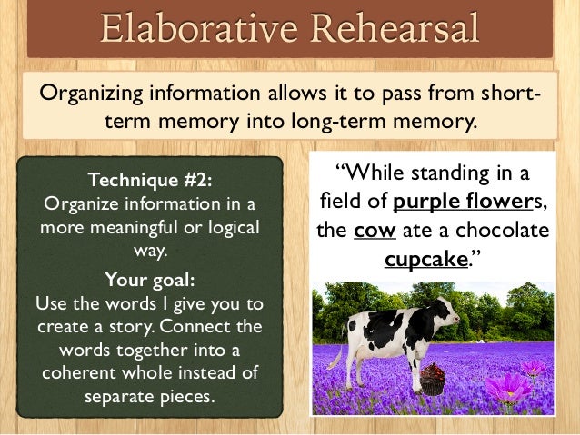 elaborative rehearsal vs maintenance rehearsal elaborative processing